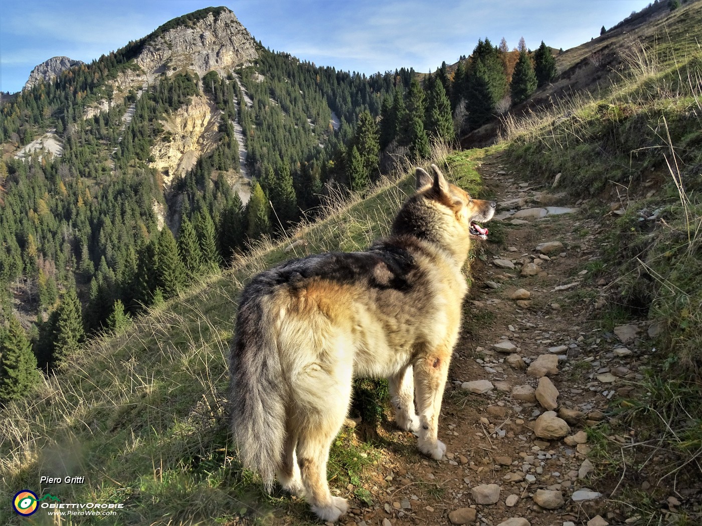 13 Proseguiamo in direzione Forcolino di Torcola (non segnalato ma bern riconoscibile  in alto) ....JPG